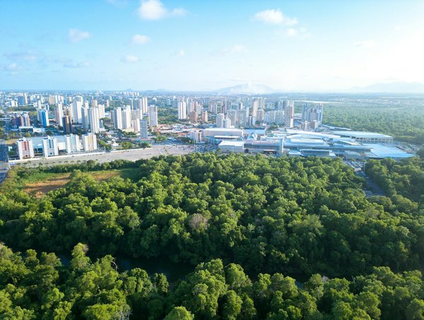 Éveillez votre créativité avec le blog maison et travaux