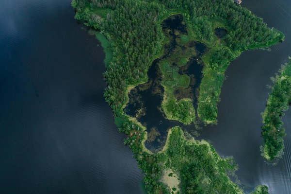 Stratégies Innovantes pour des Programmes de Recyclage Efficaces en Entreprise